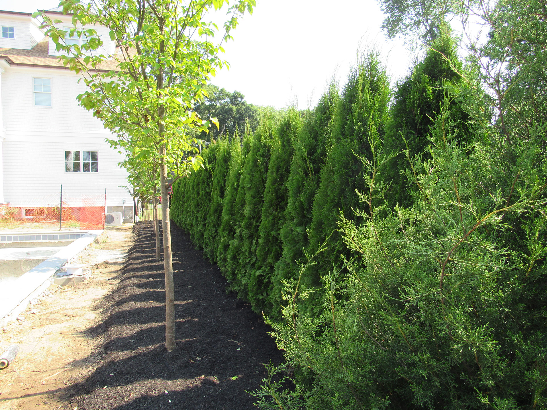 Landscape Design