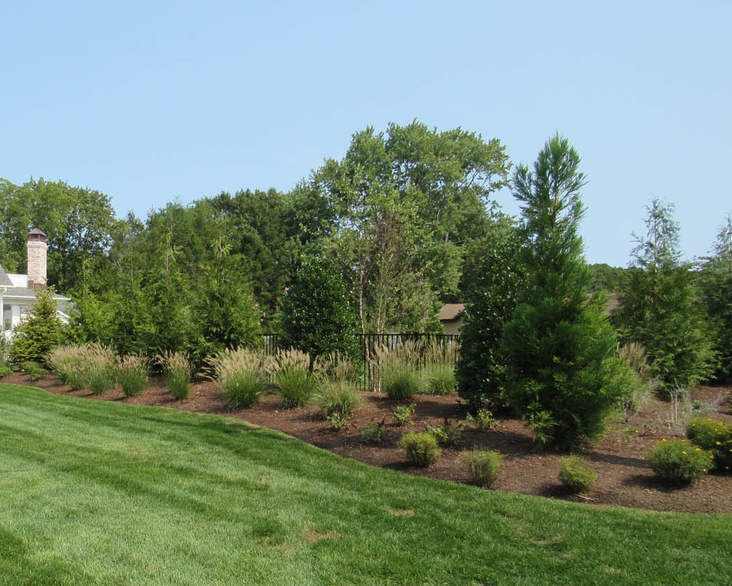 Seasonal Cleanups
