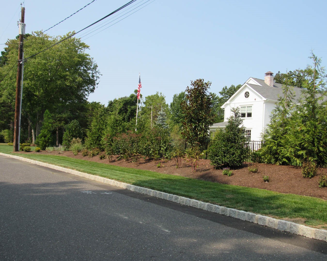 Tree & Shrub Care