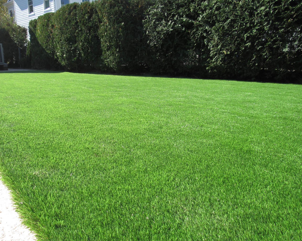 Sod Installation