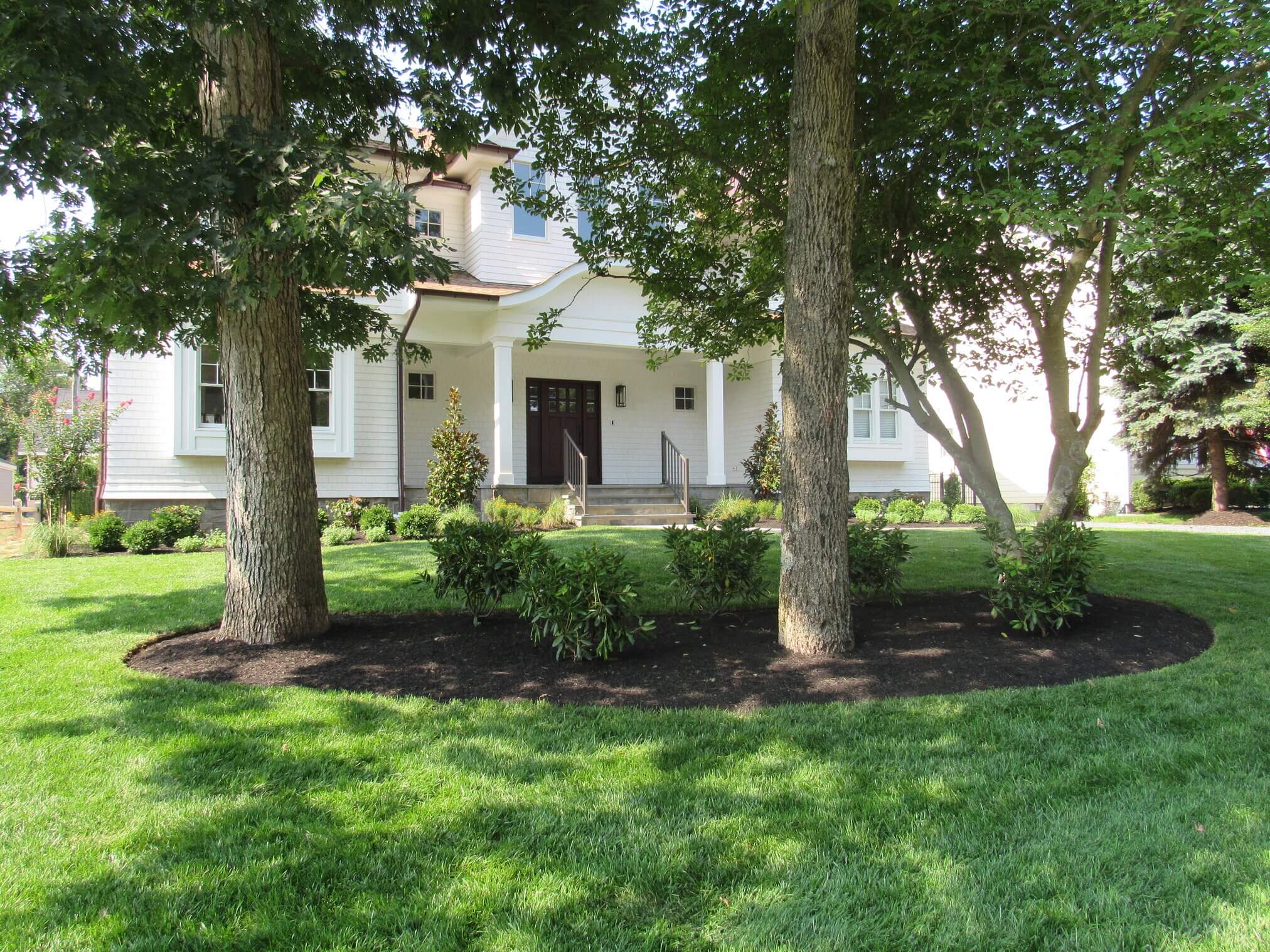 Tree & Shrub Care