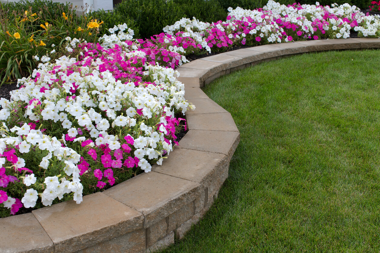 Seasonal Flowers