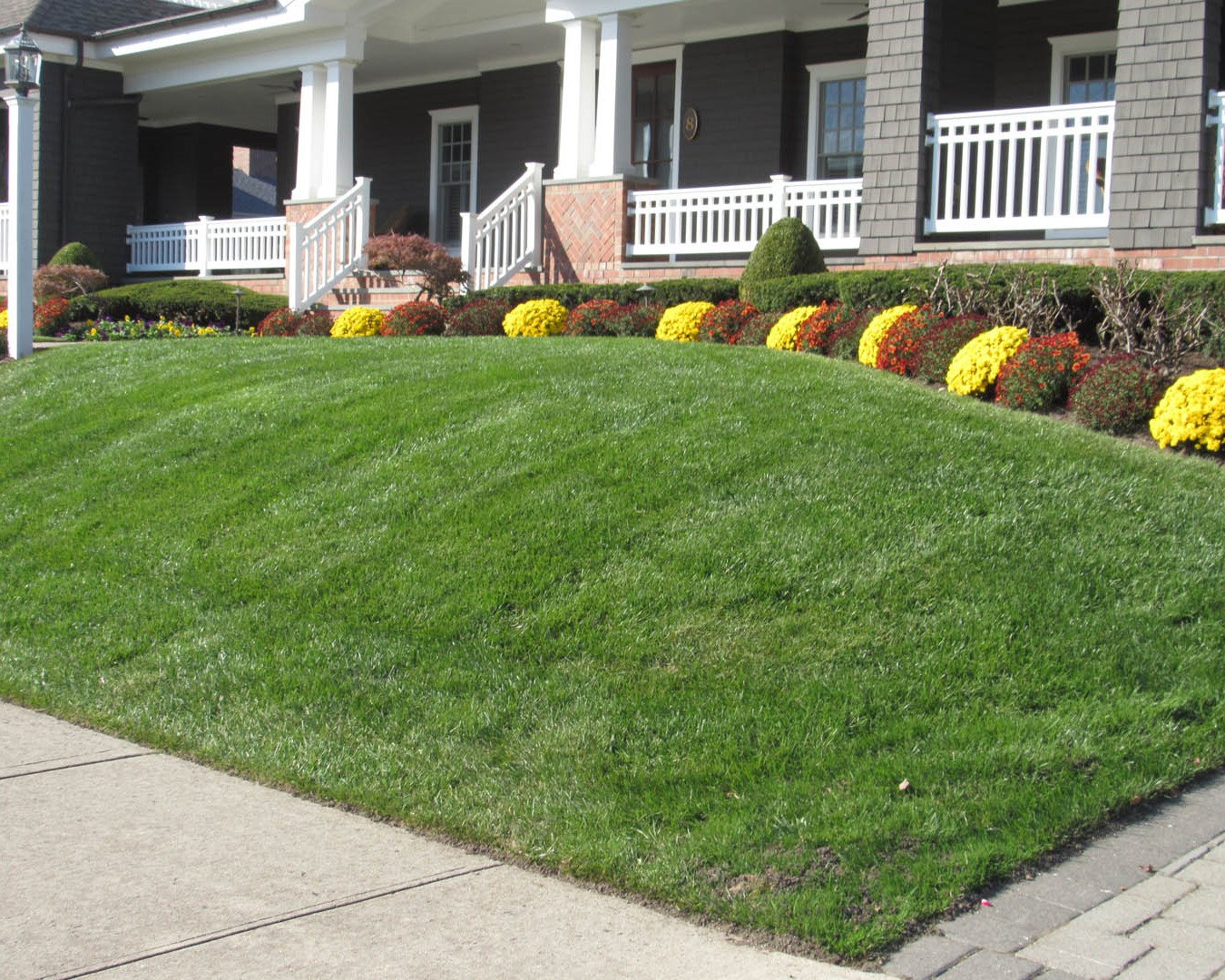 Lawn Maintenance
