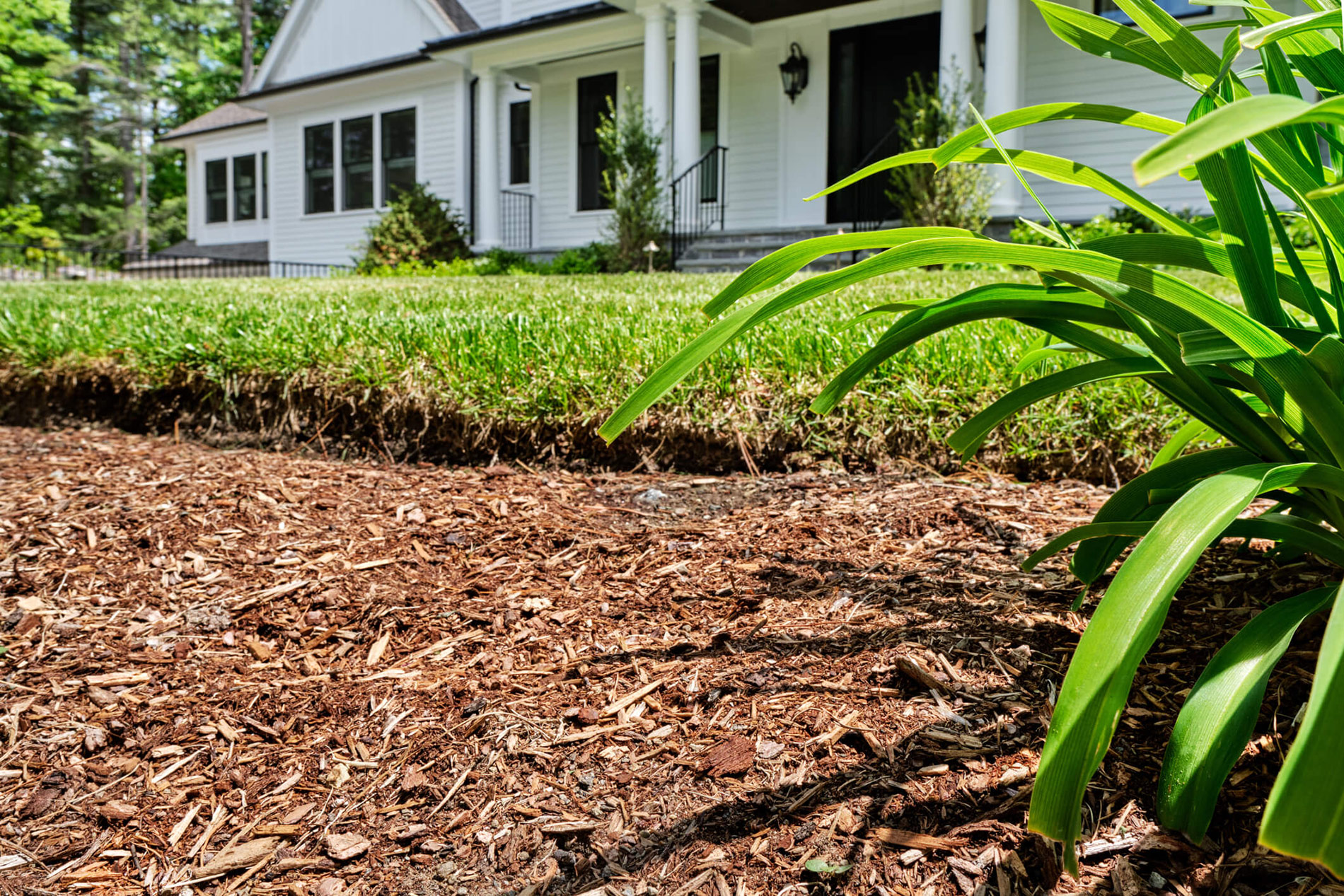 Mulch & Bed Care
